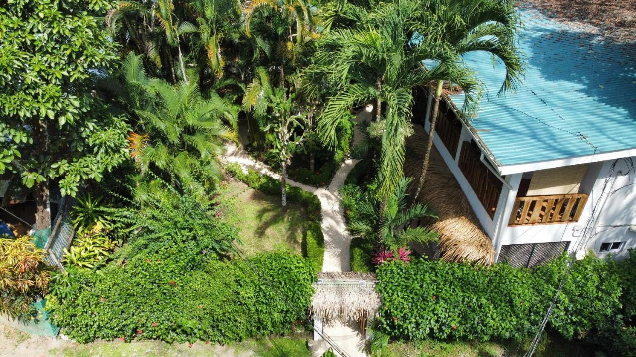 Colibri Apartments - 4 Min Walk To The Beach! Playa Santa Teresa  Exterior foto