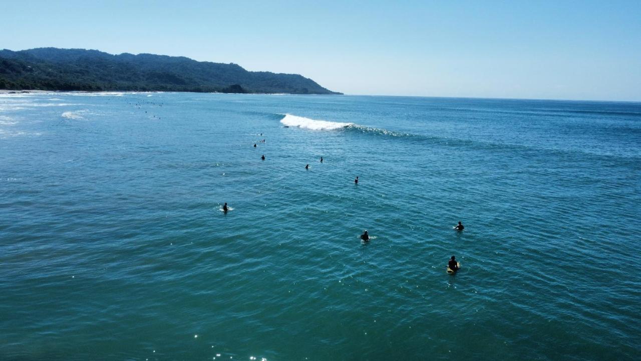 Colibri Apartments - 4 Min Walk To The Beach! Playa Santa Teresa  Exterior foto